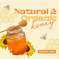 Delicious Organic Pure Honey Instagram Post Design