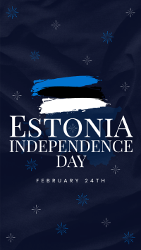 Simple Estonia Independence Day TikTok Video Image Preview