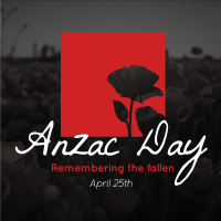 Anzac Remembrance Linkedin Post Image Preview