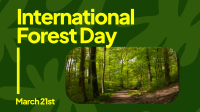 Forest Day Greeting Animation Image Preview
