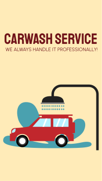 Carwash Professionals Facebook Story Design