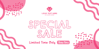 Special Sale for a Limited Time Only Twitter post Image Preview