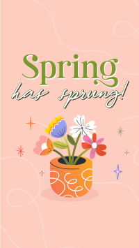 Spring Flower Pot Instagram reel Image Preview