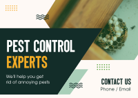 Pest Control Experts Postcard Image Preview