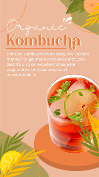 Probiotic Kombucha TikTok Video Image Preview