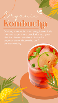 Probiotic Kombucha TikTok video Image Preview