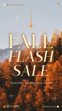 Fall Flash Sale Instagram Reel Preview