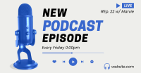 Normal Podcast Facebook Ad Design