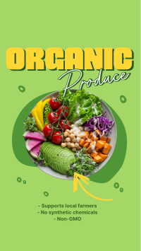Healthy Salad Instagram Story Design