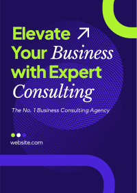 Expert Consulting Poster Image Preview