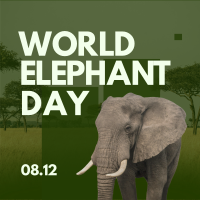 World Elephant Celebration Instagram Post Design
