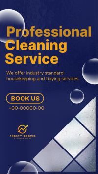 Professional Cleaning Service TikTok Video Image Preview