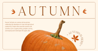 Autumn Pumpkin Facebook Ad Design