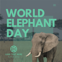 World Elephant Celebration Instagram post Image Preview