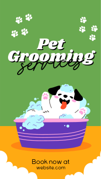 Dog Bath Grooming TikTok Video Design