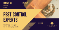 Pest Control Experts Facebook Ad Design