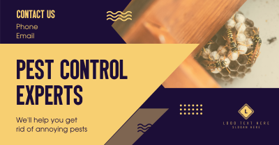 Pest Control Experts Facebook ad Image Preview