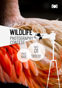 Wildlife Photography Contest Flyer Design