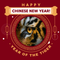 Year of the Tiger 2022 Linkedin Post Image Preview
