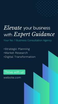 Your No. 1 Business Consultation Agency TikTok Video Preview