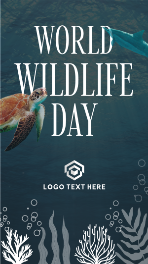 Aquatic Wildlife  Instagram story Image Preview
