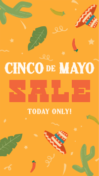 Cinco De Mayo Confetti Sale Instagram Reel Design