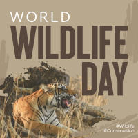 Wildlife Conservation Instagram post Image Preview