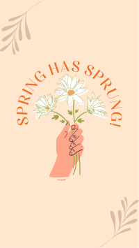 Spring has Sprung Instagram Story Design
