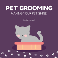 Pet Groomer Instagram Post Design