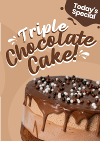 Triple Chocolate Cake Poster Image Preview