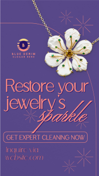 Jewelry Cleaning Luxe Instagram Reel Image Preview