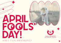Quirky April Fools' Day Postcard Image Preview