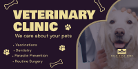 Professional Veterinarian Clinic Twitter post Image Preview