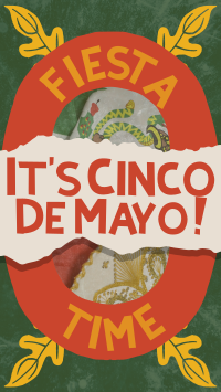 Rustic Cinco De Mayo TikTok video Image Preview