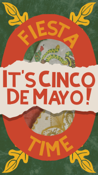 Rustic Cinco De Mayo TikTok Video Image Preview