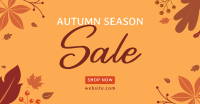 Dry Falling Season Facebook Ad Design