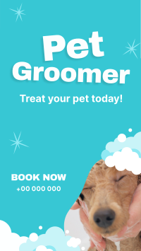 Professional Pet Groomer Instagram reel Image Preview