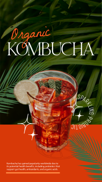 Organic Kombucha TikTok Video Image Preview