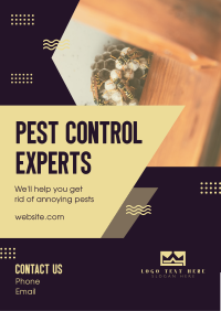 Pest Control Experts Flyer Image Preview