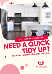 Quick Cleaning Service Poster Image Preview