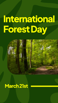 Forest Day Greeting Facebook story Image Preview