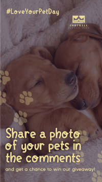 Love Your Pet Day Giveaway Instagram Story Design