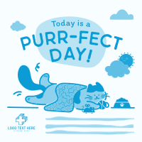 International Cat Day Instagram Post Preview