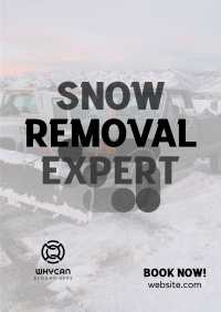 Snow Removal Expert Flyer Image Preview