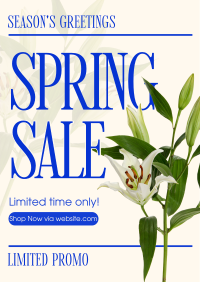 Spring Season Promo Poster Design