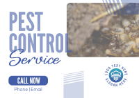 Professional Pest Control Postcard Design