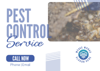 Professional Pest Control Postcard Image Preview