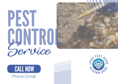 Professional Pest Control Postcard Image Preview