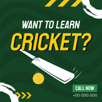 Time to Learn Cricket Linkedin Post Image Preview