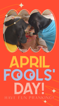Quirky April Fools' Day YouTube short Image Preview